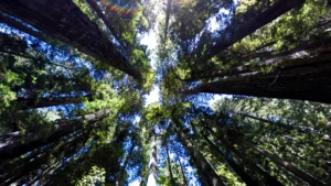 AI’s Dirty Secret: The Brutal Resource Cost of Your Chatbot