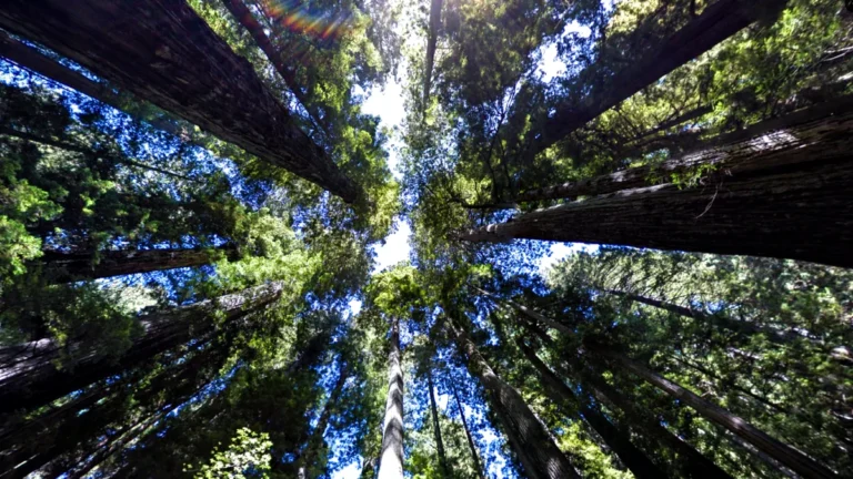 AI’s Dirty Secret: The Brutal Resource Cost of Your Chatbot