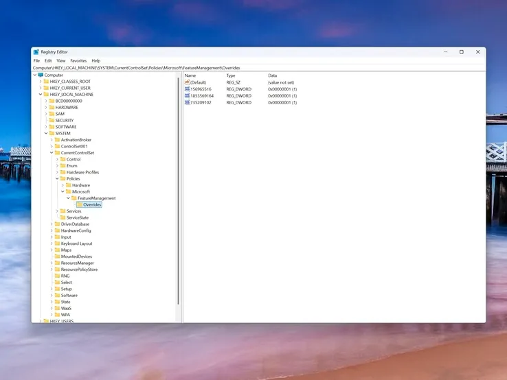A screenshot of the Windows Registry Editor showing the FeatureManagement\Overrides path with added DWORD values.